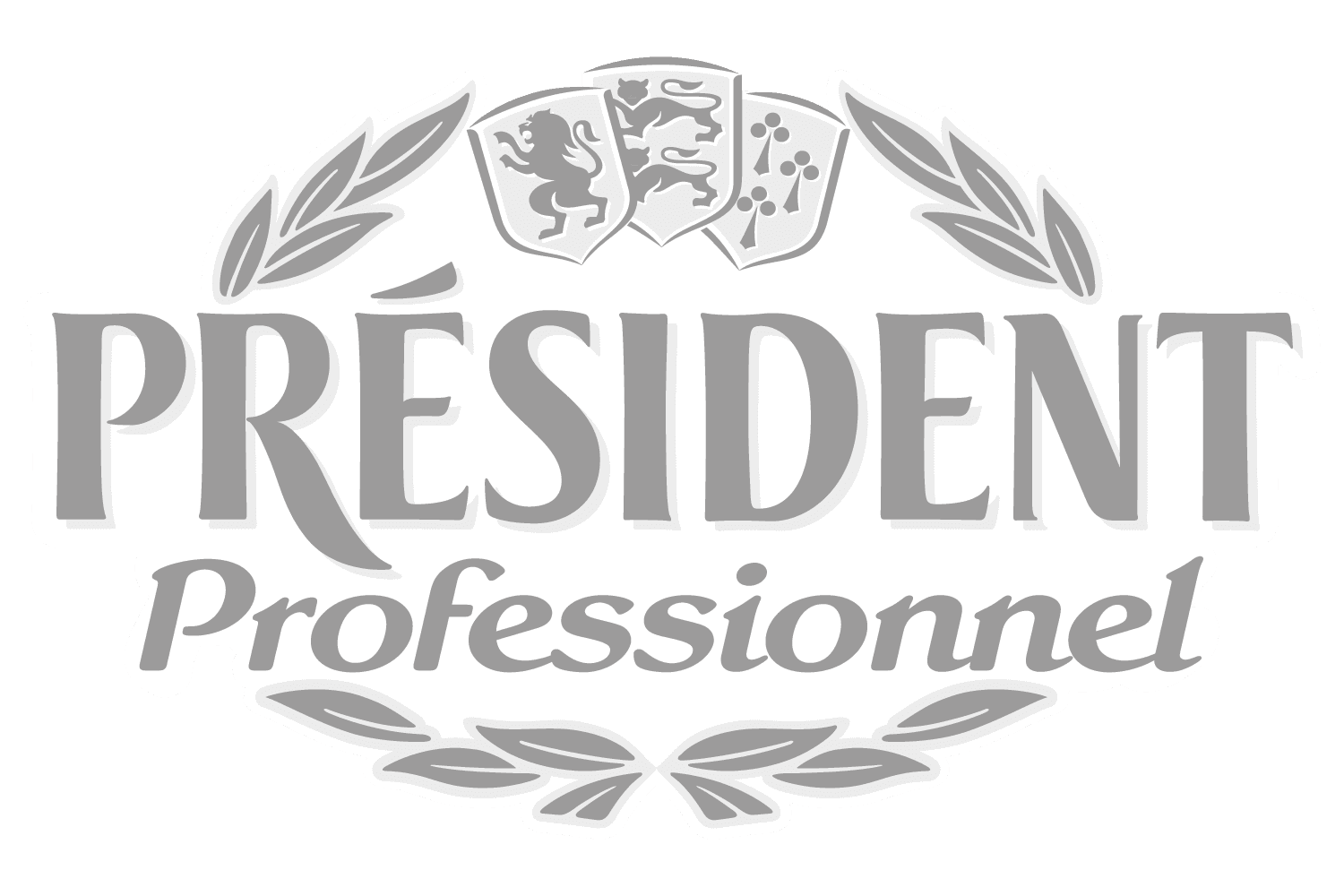 President Professionel logo, Erbacipollina client in the Italian food & beverage industry